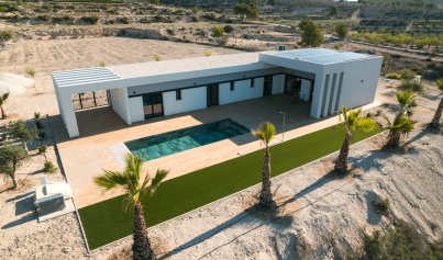 Neue Gebäude - Villa -
Pinoso