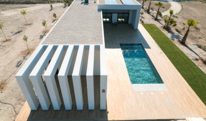 Neue Gebäude - Villa -
Pinoso