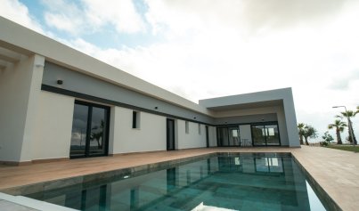 Neue Gebäude - Villa -
Pinoso