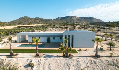 Neue Gebäude - Villa -
Pinoso