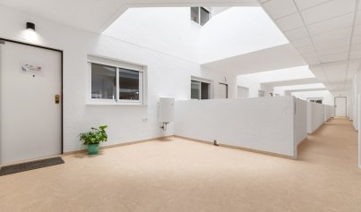 Nouvelle construction - Appartement -
Lomas de Cabo Roig