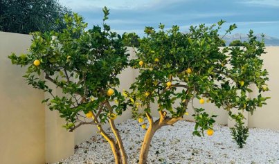 Revente - Villa -
Alfas del Pí - pueblo