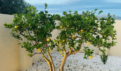 Revente - Villa -
Alfas del Pí - pueblo