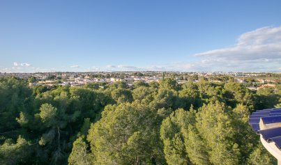 Resale - Apartment -
Lomas de Cabo Roig