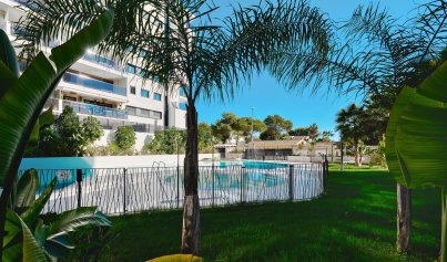 Resale - Apartment -
Orihuela Costa - Dehesa de campoamor