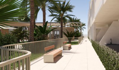 New Build - Apartment -
Torre Pacheco