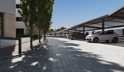 New Build - Apartment -
Santa Rosalía