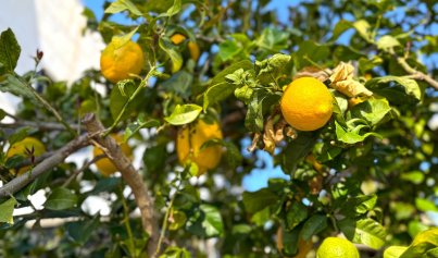 Resale - Villa -
Orihuela Costa - Villamartin