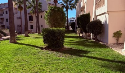 Wiederverkauf - Penthouse -
Las Ramblas