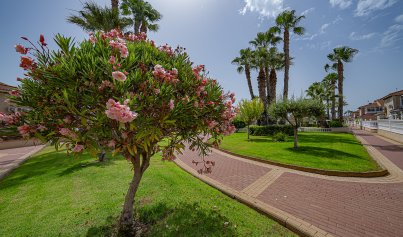 Resale - Apartment -
Playa Flamenca - Zenia Mar