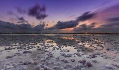 Resale - Villa -
Torrevieja - El Chaparral