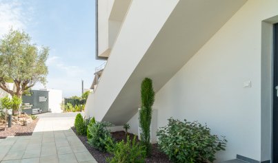 New Build - Apartment -
Torrevieja