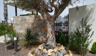 New Build - Apartment -
Torrevieja