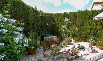 Wiederverkauf - Wohnung -
Playa Flamenca