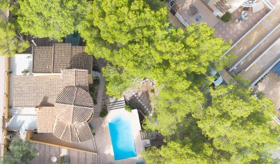 Resale - Villa -
Villamartín - Las Filipinas