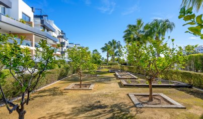 Wiederverkauf - Wohnung -
Villamartín - Villamartin