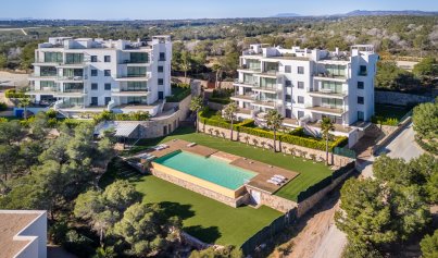 Resale - Apartment -
Las Colinas Golf - Las Colinas Golf Resort