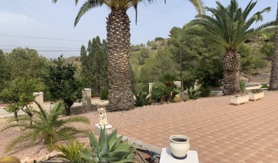 Revente - Villa -
Algorfa (montemar)