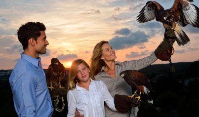 New Build - Villa -
Orihuela Costa - Las Colinas Golf