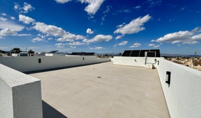 New Build - Villa -
Benijofar