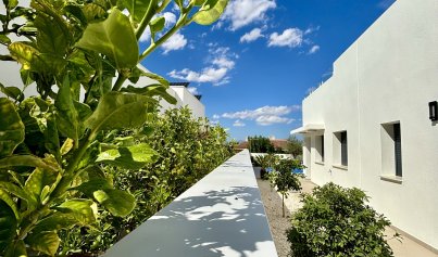 New Build - Villa -
Benijofar