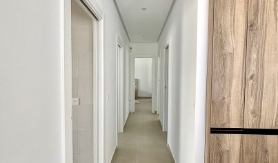 New Build - Villa -
Benijofar