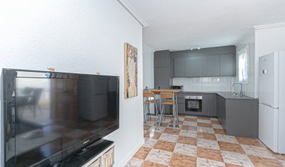 Återförsäljning - Quad House -
Playa Flamenca