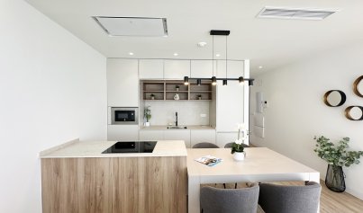 Nybyggnation - Villa -
Torre de la Horadada