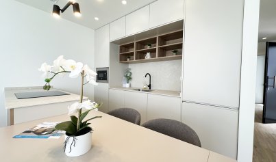 Nybyggnation - Villa -
Torre de la Horadada