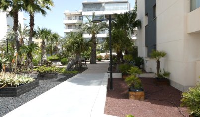 Resale - Penthouse -
Villamartín - Villamartin