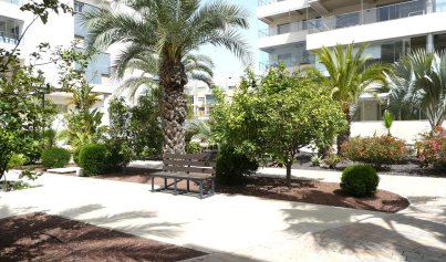 Resale - Penthouse -
Villamartín - Villamartin
