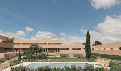 Neue Gebäude - Wohnung -
Torrevieja