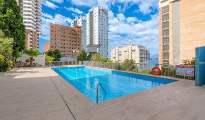 Resale - Apartment -
Benidorm* - Levante*