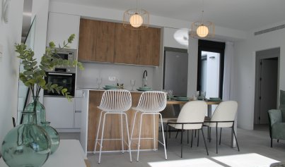 Nouvelle construction - Villa -
Roldán