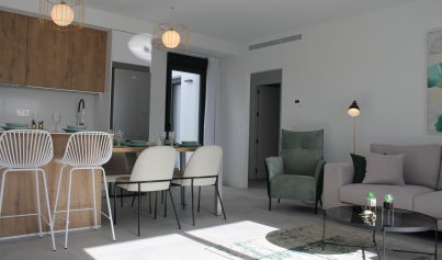 Nouvelle construction - Villa -
Roldán