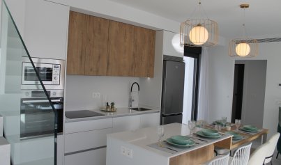 Nouvelle construction - Villa -
Roldán