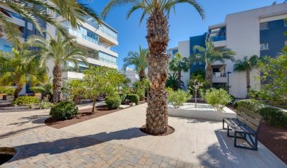 Resale - Apartment -
Orihuela Costa - Villamartin