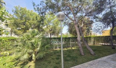 Resale - Apartment -
Villamartín - Los Dolses