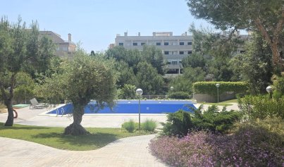 Resale - Apartment -
Villamartín - Los Dolses