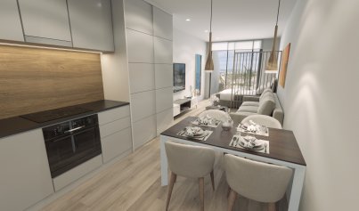 Nouvelle construction - Attique -
Torrevieja