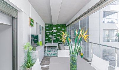 Resale - Apartment -
Los Dolses - Pimienta