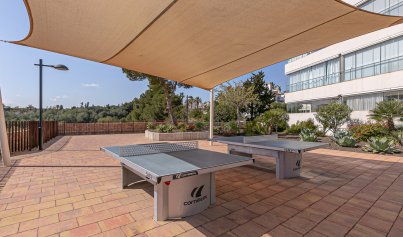 Resale - Apartment -
Los Dolses - Pimienta