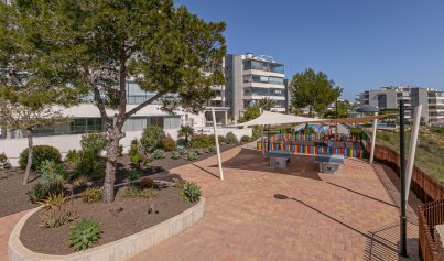 Resale - Apartment -
Los Dolses - Pimienta