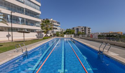 Resale - Apartment -
Los Dolses - Pimienta