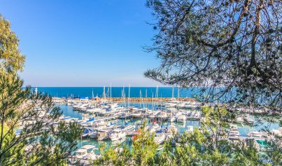 Resale - Apartment -
Campoamor - Dehesa de Campoamor
