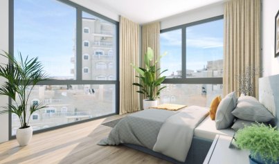 Neue Gebäude - Penthouse -
Torrevieja