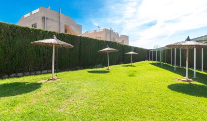 Revente - Appartement -
Torrevieja - San Luis