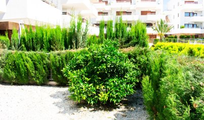 Herverkoop - Appartement / flat -
Orihuela Costa - Cabo Roig