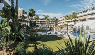 Resale - Apartment -
Orihuela Costa - Playa Flamenca