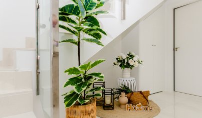 Nouvelle construction - Villa -
Vistabella